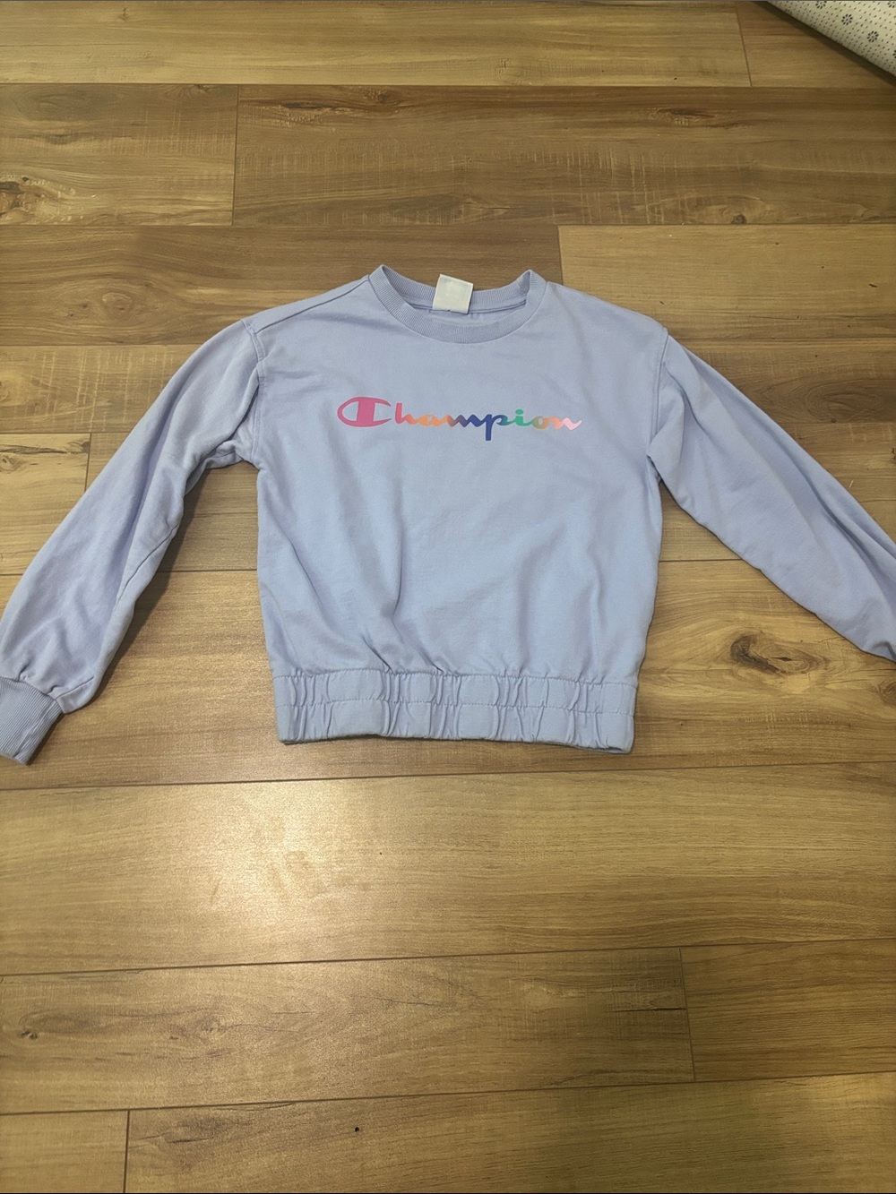 Champion Lavender Crewneck Sweatshirt with Multicolor Logo